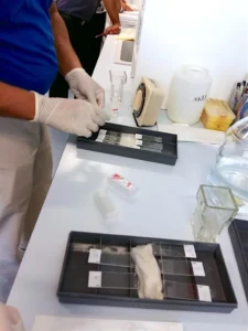 dermatoloq mehdi iskəndərli laboratoriyada