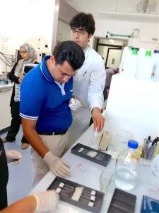 dermatoloq mehdi iskəndərli laboratoriyada