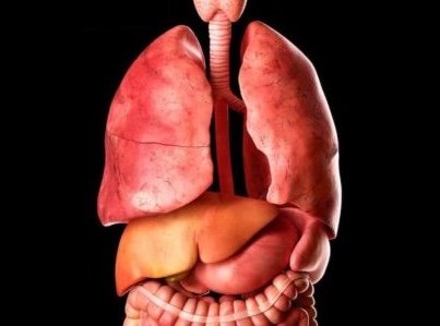 Dermatoloq dəri və daxili xəstəliklər mövzusunda uzmandır